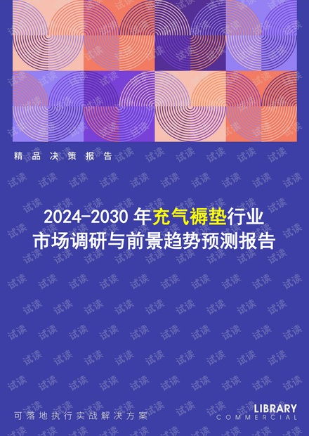 2024-2030年充氣褥墊行業市場調研及前景趨勢預測報告