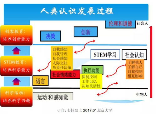 人工智能的浪潮 基礎(chǔ)軟件開(kāi)發(fā)及其在科學(xué)教育中的革新應(yīng)用