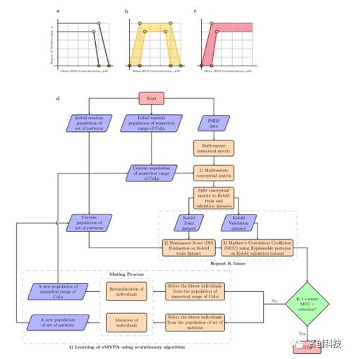 融合可解釋AI與fNIRS技術(shù) 發(fā)展認(rèn)知神經(jīng)科學(xué)在嬰幼兒研究中的新范式