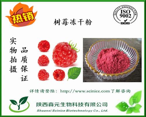 覆盆子凍干粉 99% 高純度冷凍干燥樹莓粉 工廠直銷1kg包郵價格與報價